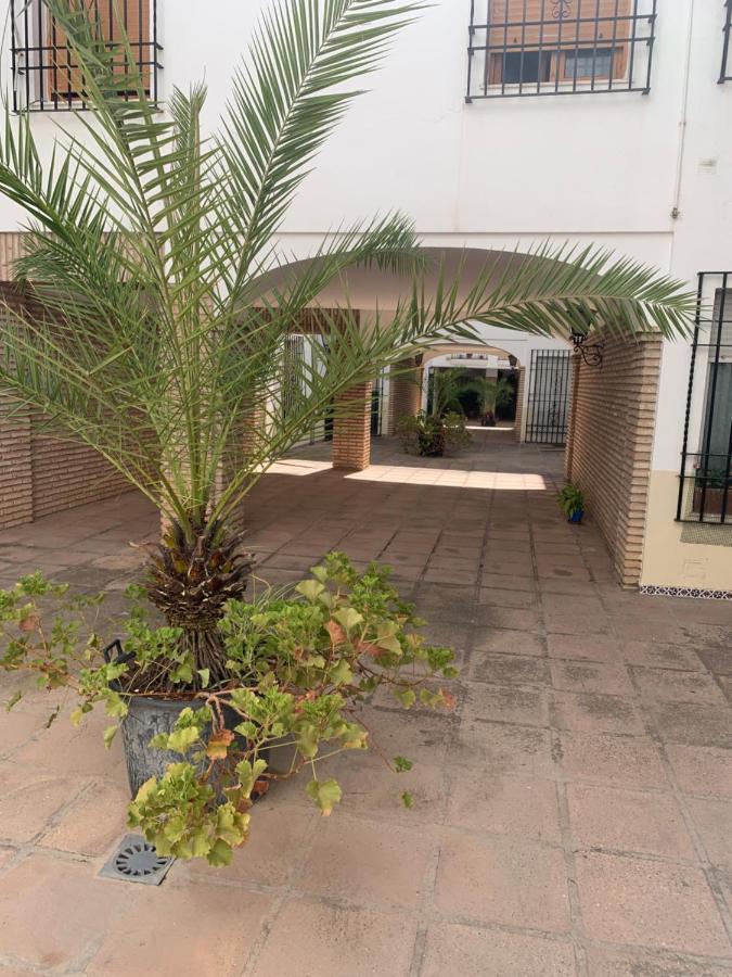 Apartamento A Estrenar A Un Minuto Del Alcazar Lejlighed Córdoba Eksteriør billede