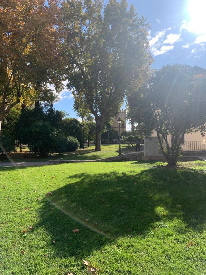 Apartamento A Estrenar A Un Minuto Del Alcazar Lejlighed Córdoba Eksteriør billede